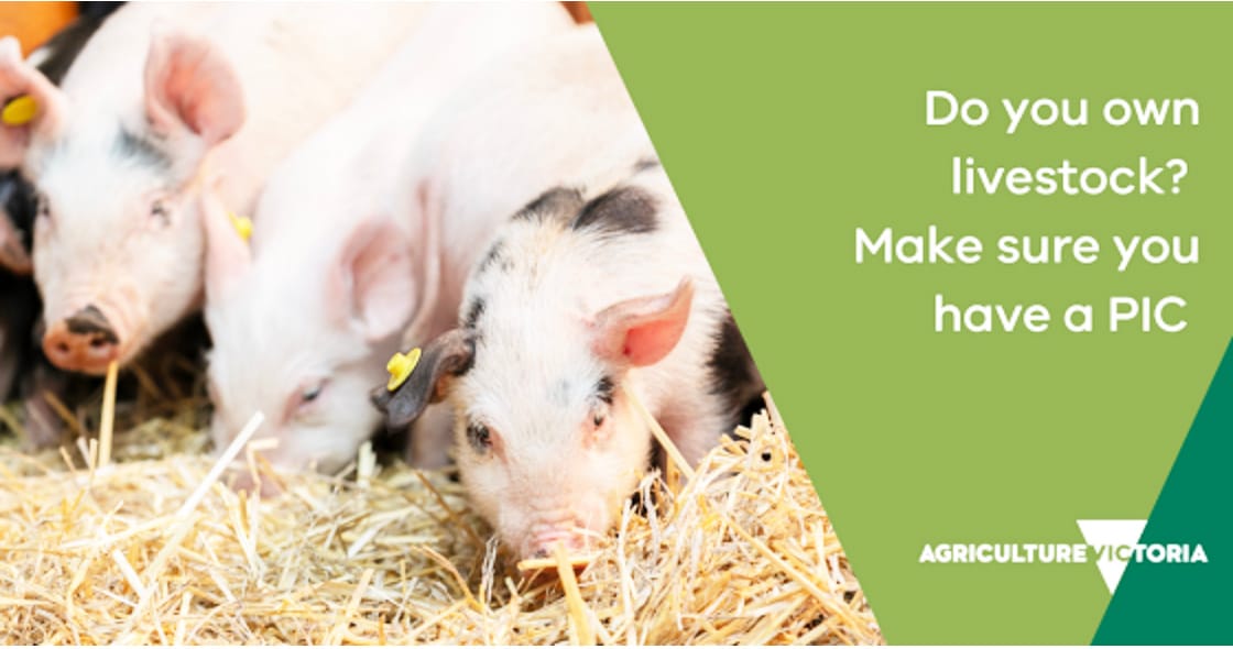 Property Identification Code (PIC) — Get Yours Now