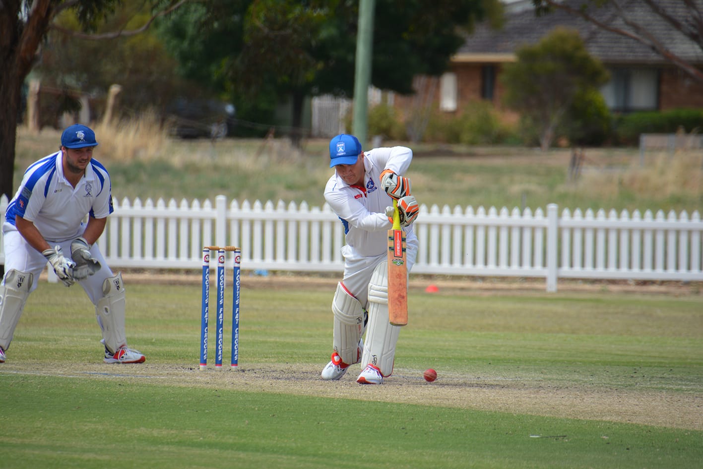 Bayles Brilliance Back in Town