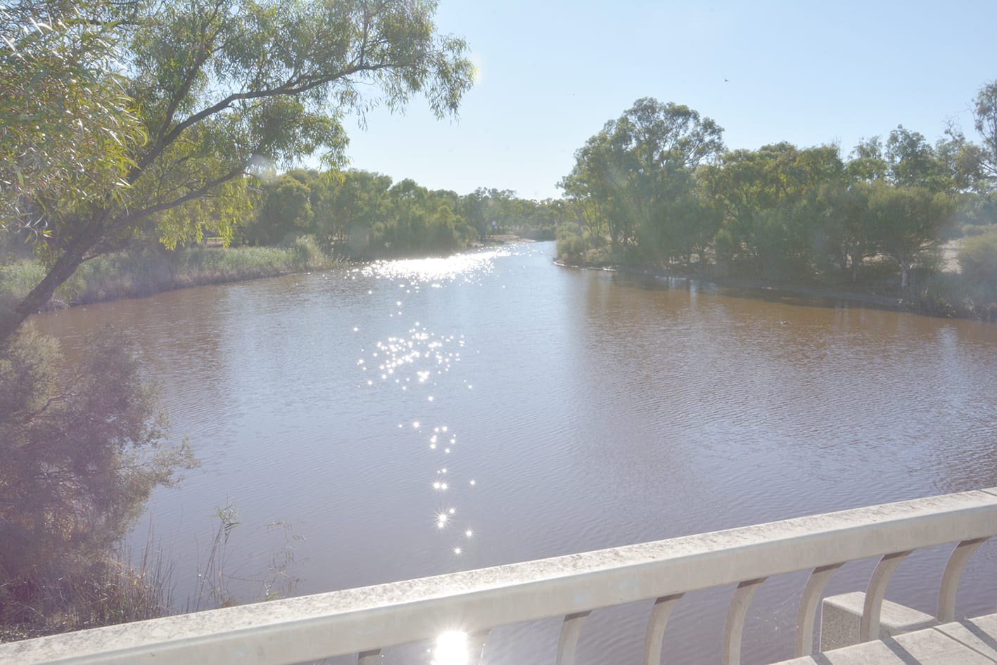Wetlands Closed to Hunting
