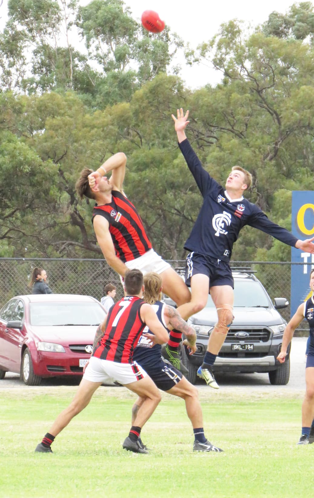 Redbacks Bounce Navies