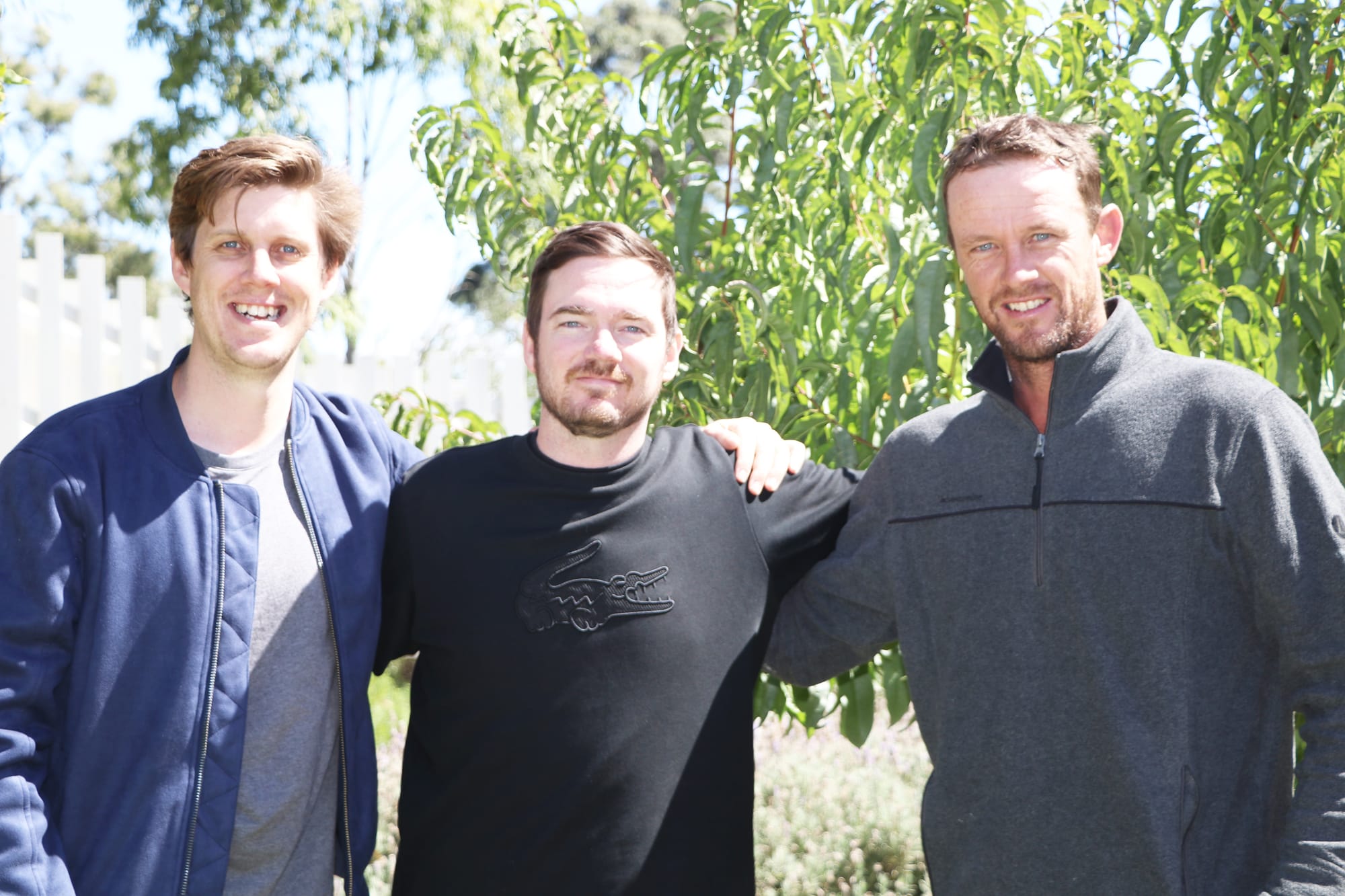 Hopes for a Ball Park Music Return