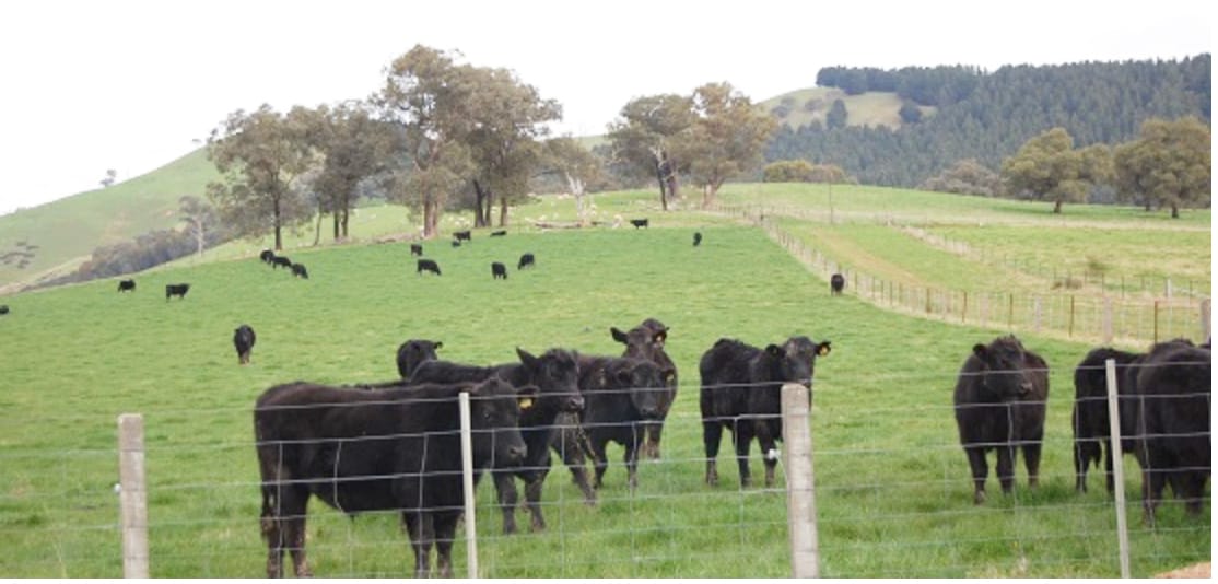 Help Us Help You in an  Emergency: Upgrade Your PIC