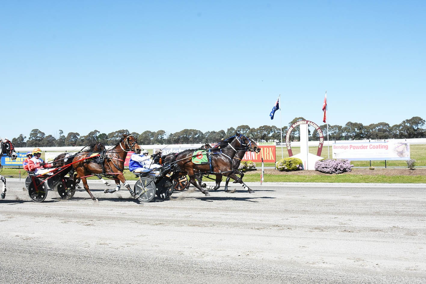 Terang Trainers’ Harness Invasion