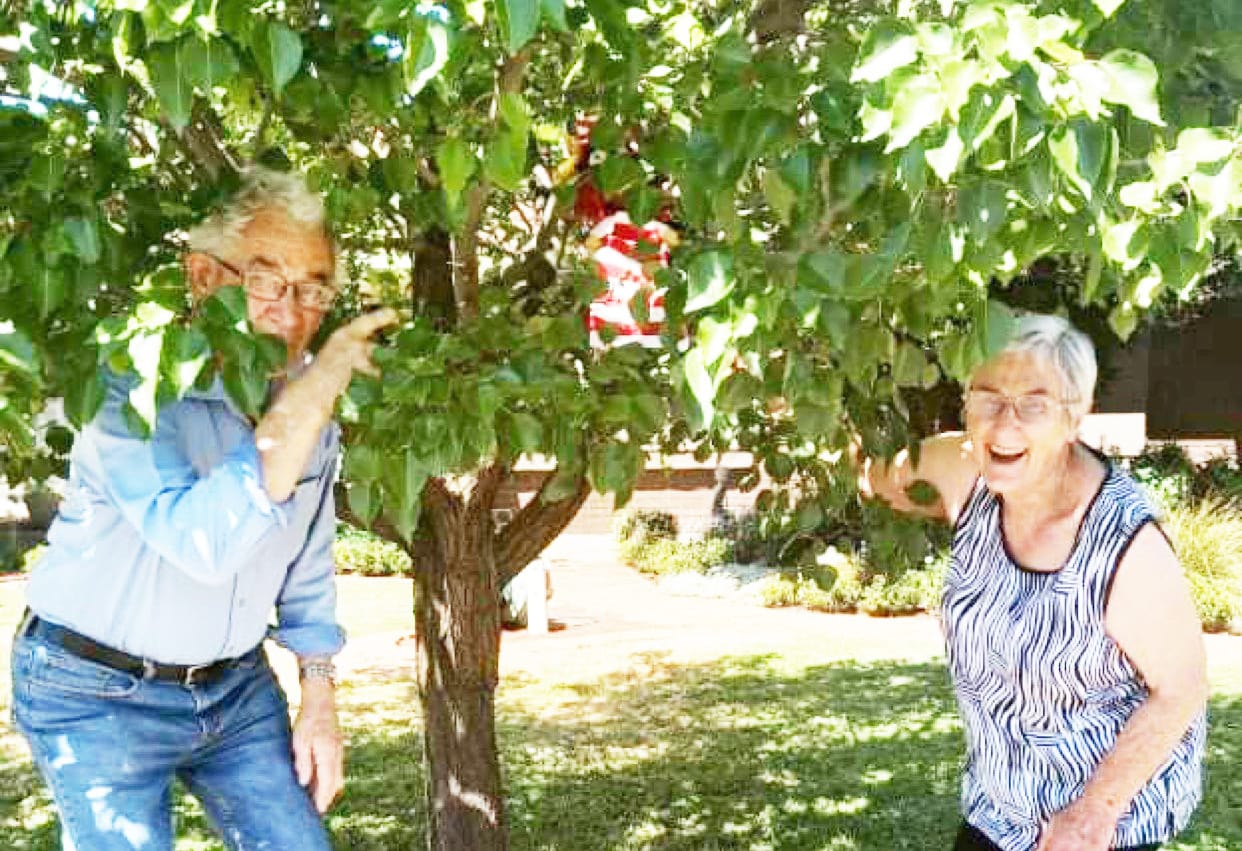 Where’s Wally Has Been Found!