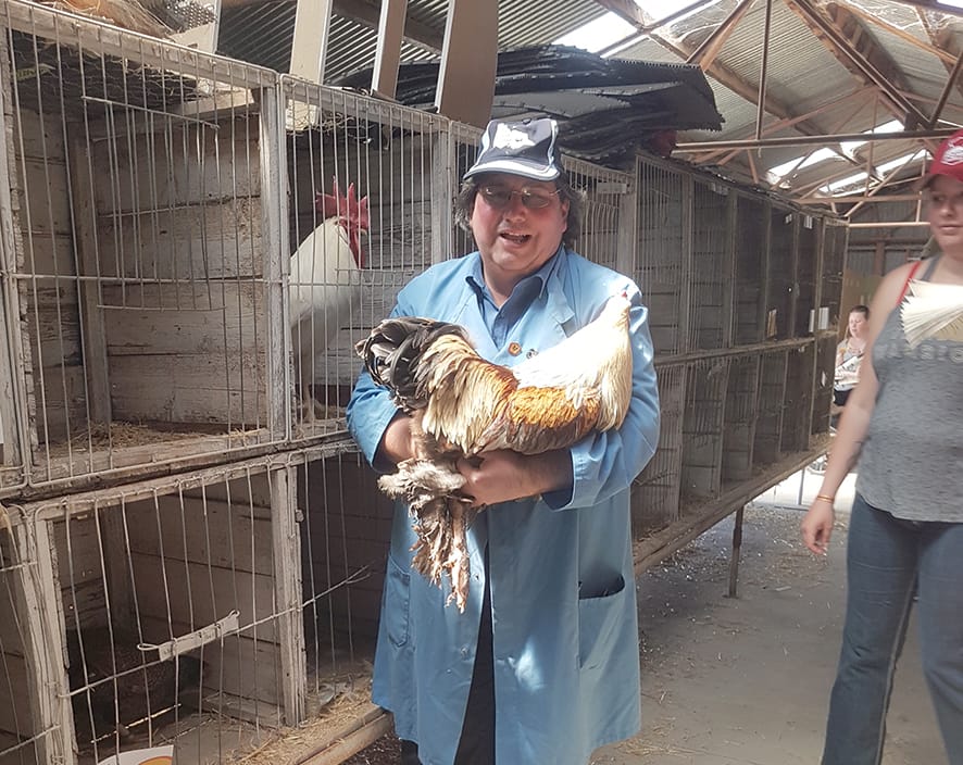 Charles Jenson from Wallan in his first time judging in the poultry pavilion at the Donald Show.