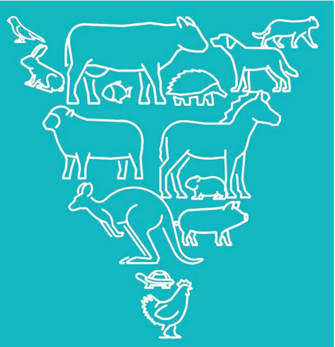 Have Your Say on Animal Welfare Act