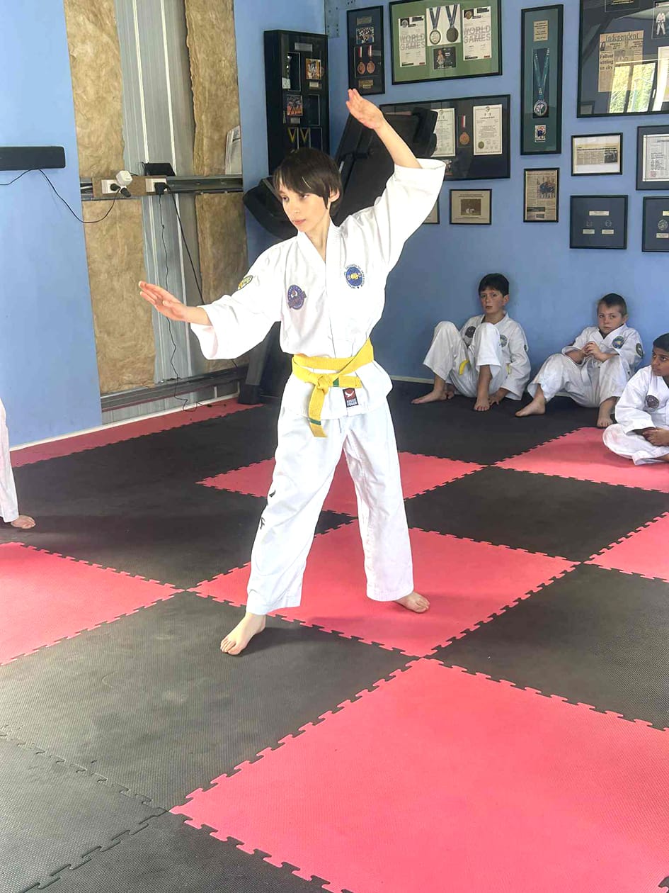 Taekwon-do Testing at Donald