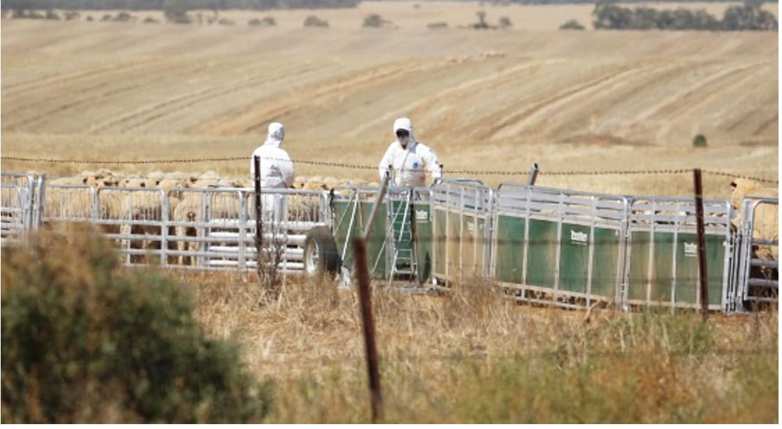 What If an Exotic Disease Outbreak Were to be Found on Your Property?