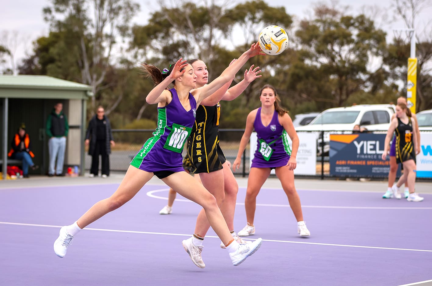 Bulls, Tigers Share the Netball Spoils