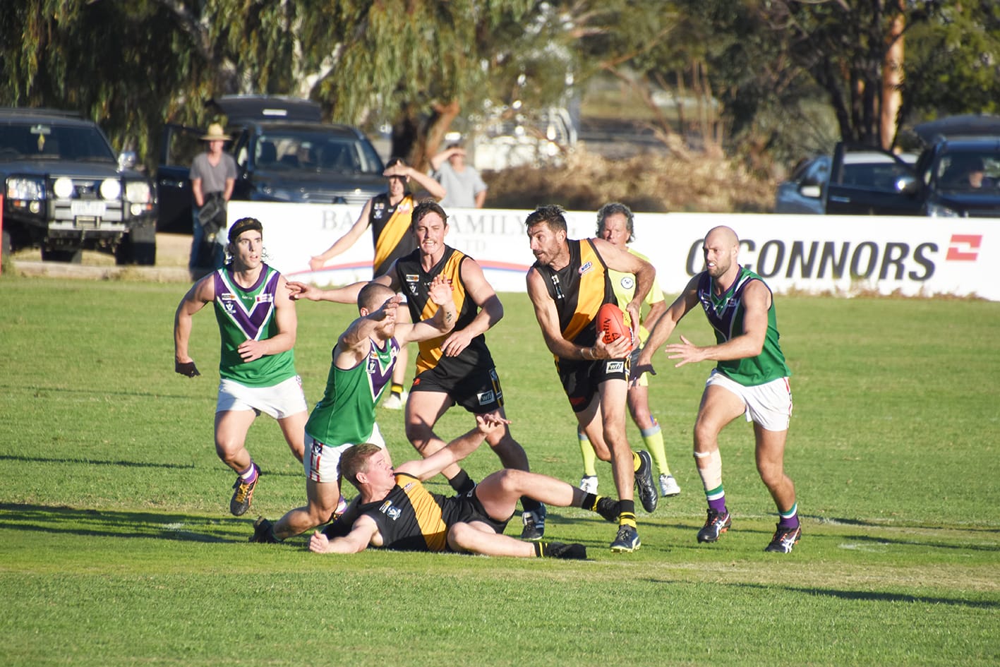 Can Bulls Tame Tearaway Tigers?