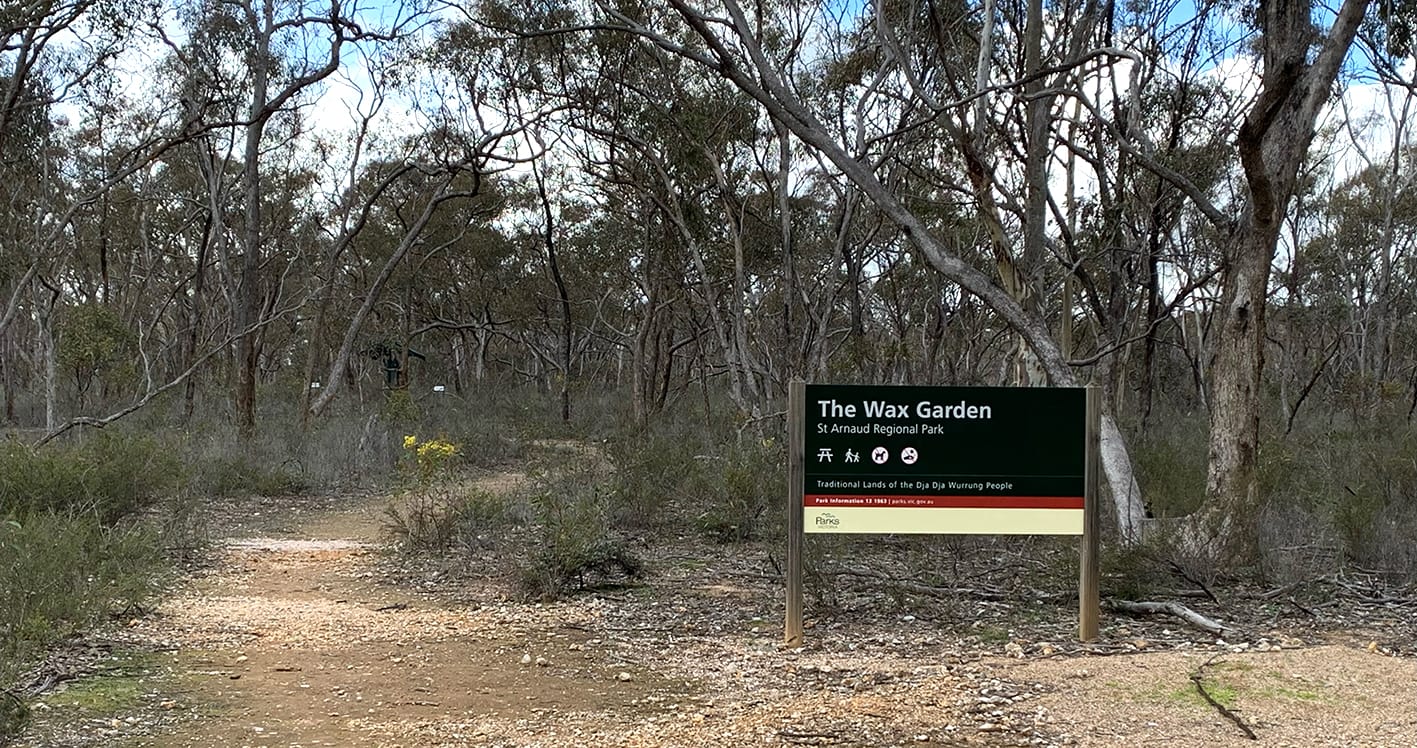 Discover St. Arnaud’s Natural Treasures: A Great Place to See Local Flora