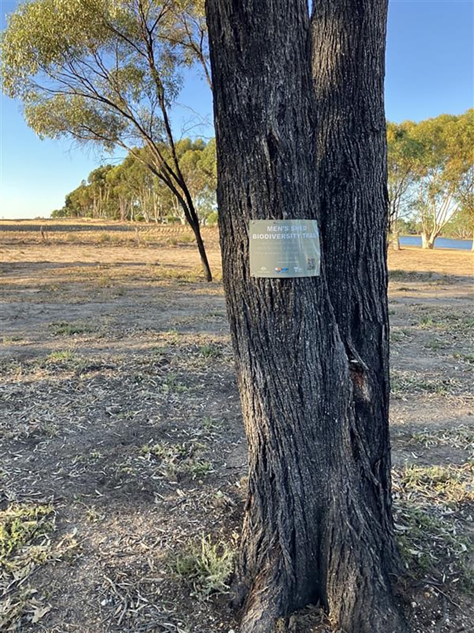 Birdhouses have been installed adjacent to the Watchem Lake Camping Reserve walking track, providing habitat for local birdlife and enhancing the natural surroundings.
