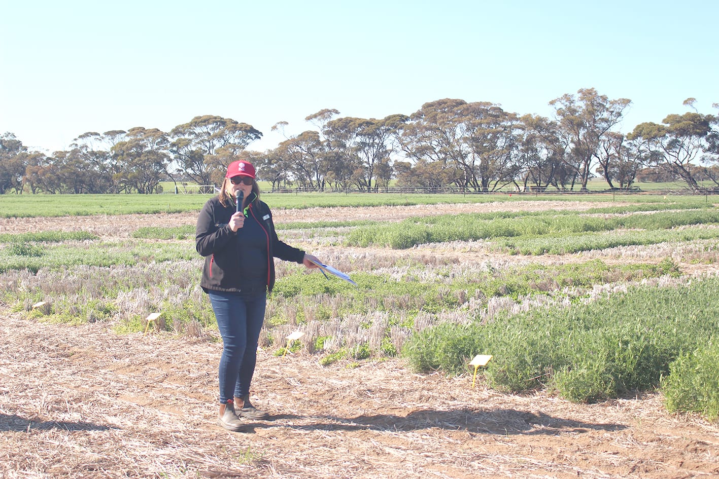 How to Meet Central Hay Market Demand