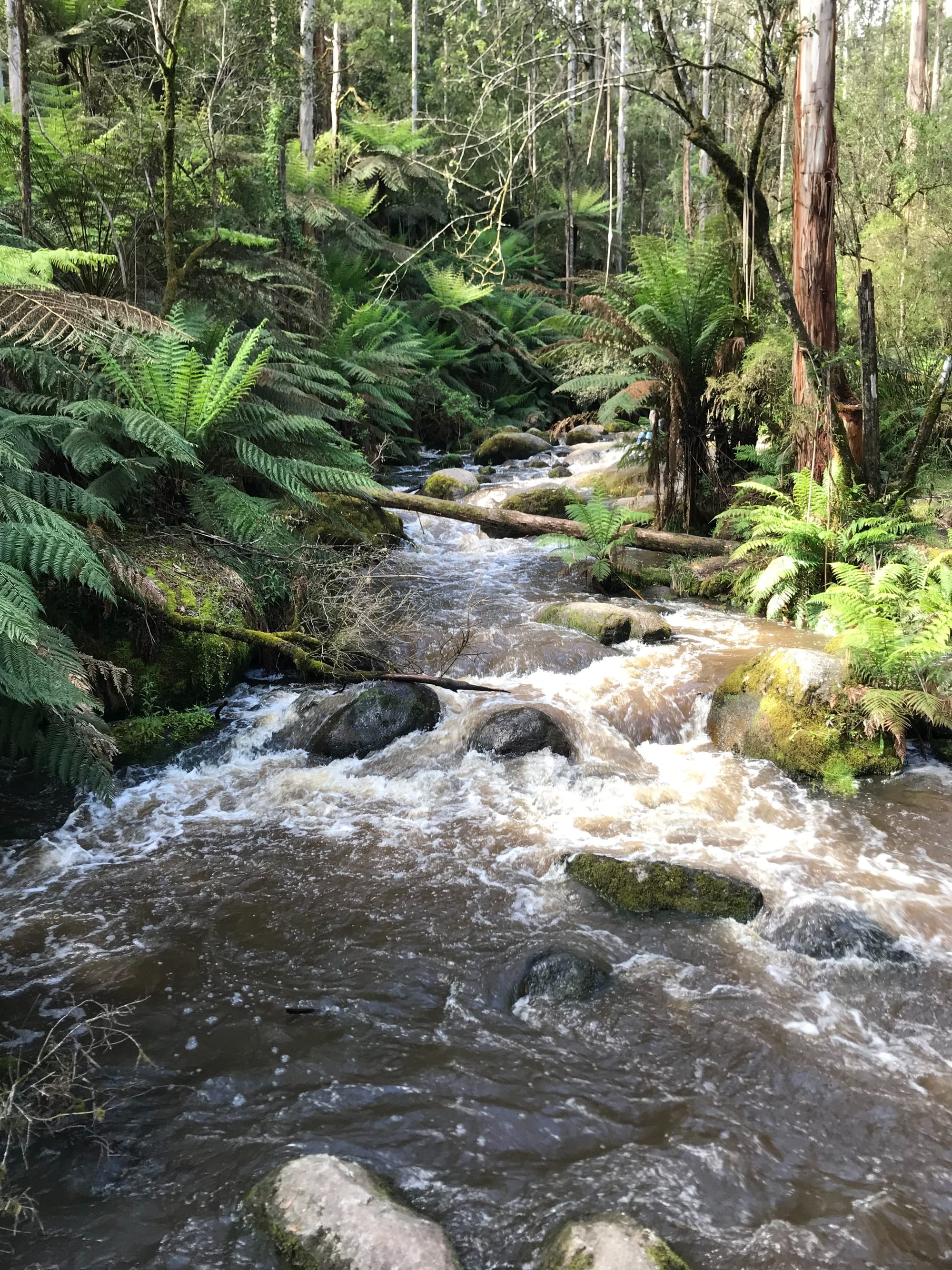 Landcare Grants Open