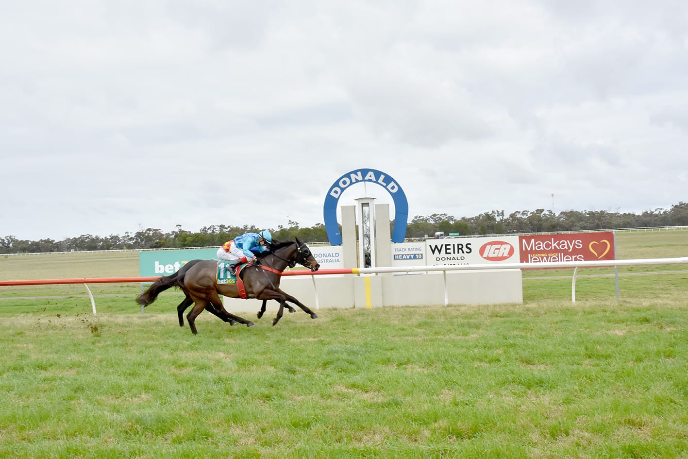 Dayne’s First Day at Donald