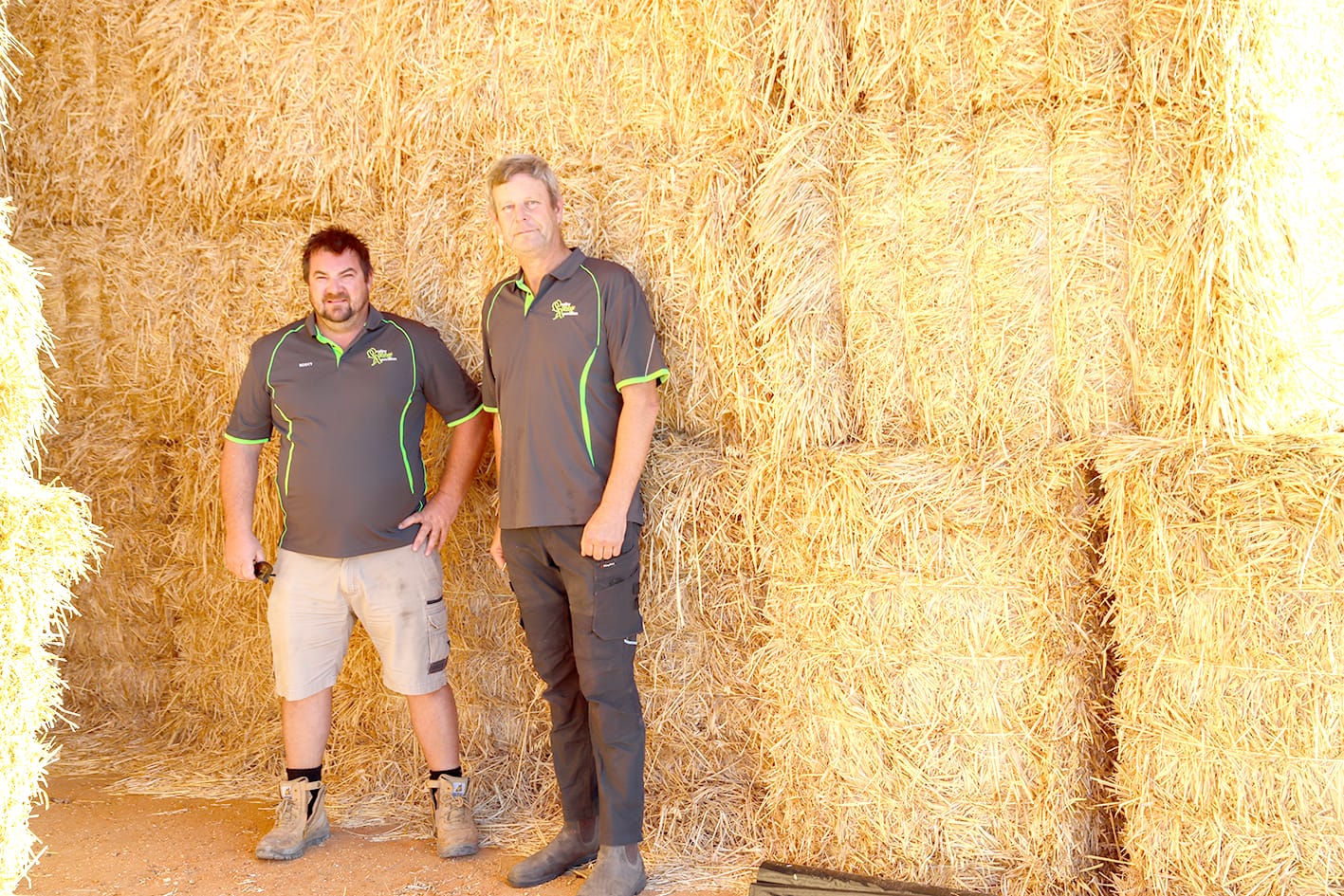 Hay Plant in Construction