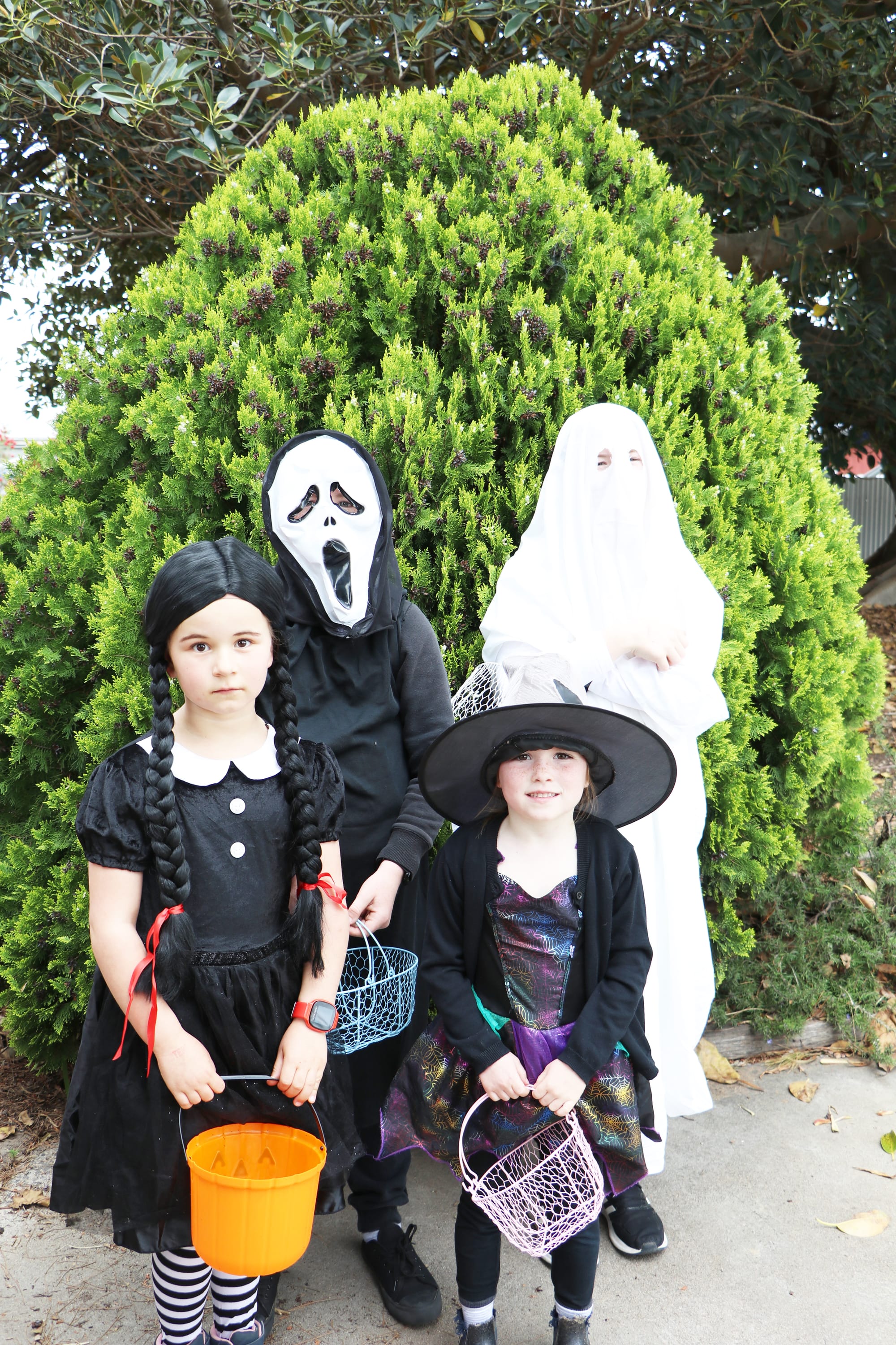 Back row, Charlie Williams, Spencer Williams. Front: Sienna Richmond, Scarlett Williams.