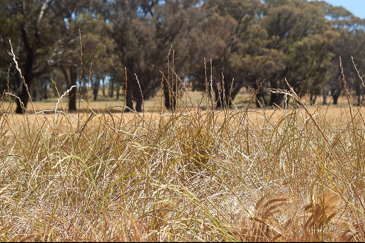 Make the Most of Spring Planning Sessions