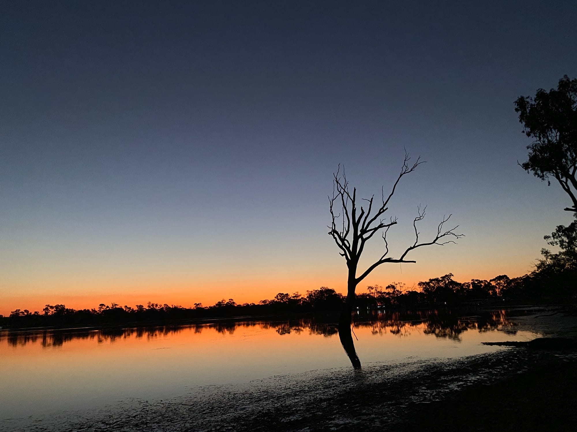 Blue-Green Algae in Wooroonook Lake