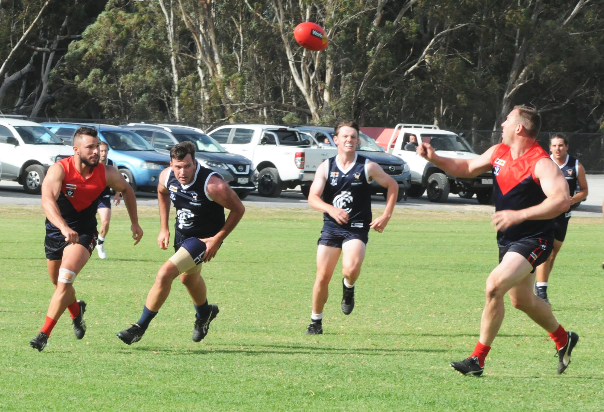 Bulls Lead the Early Charge