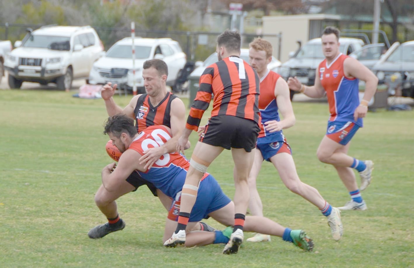 Saints Feel the Redbacks Bite