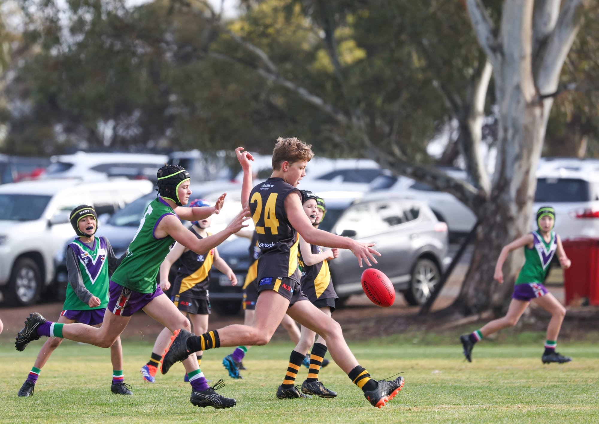 Tigers Tame the Bulls Under-14s