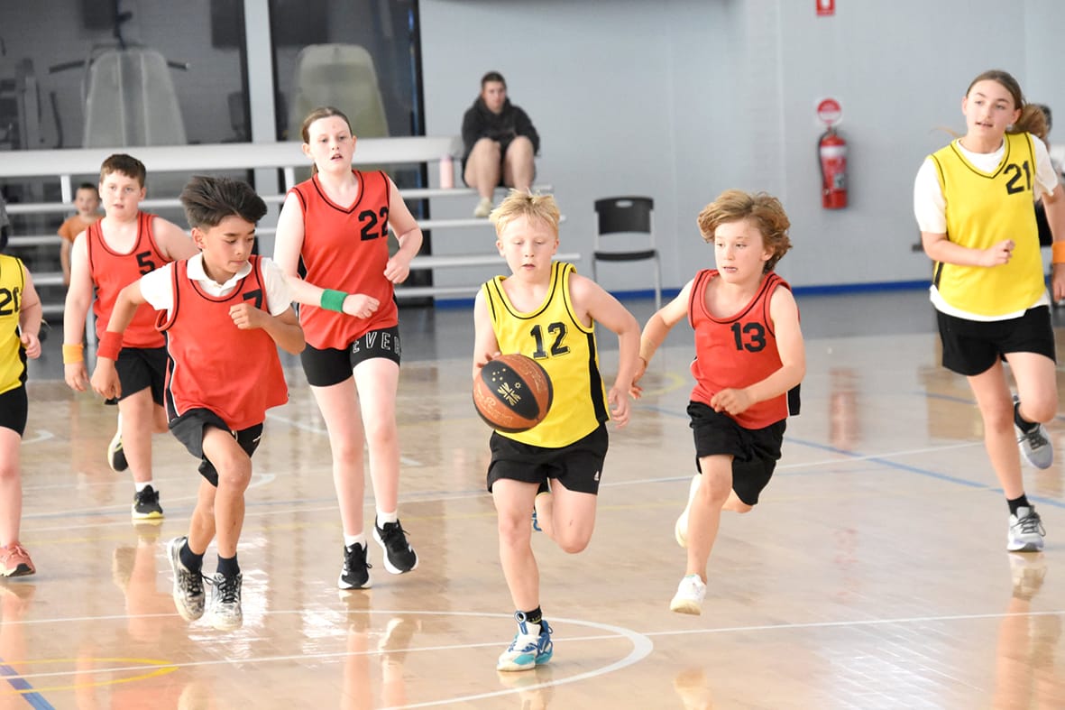 Full Round of Basketball