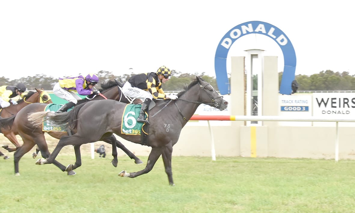 Dark Journey Wins Donald Cup