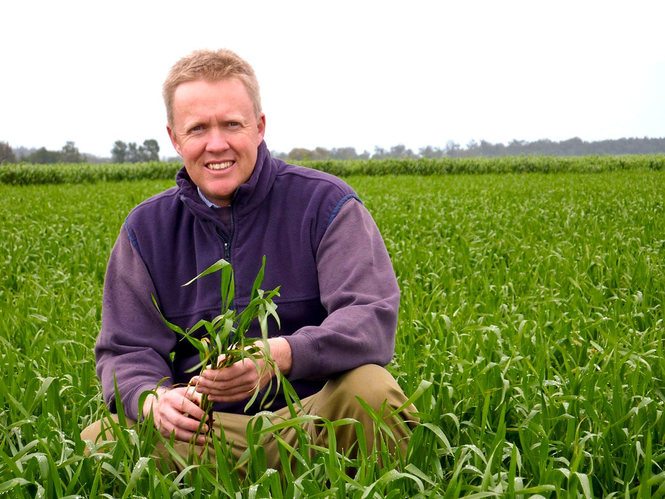 To Help With Winter Crop Profits... Effective Summer Weed Management