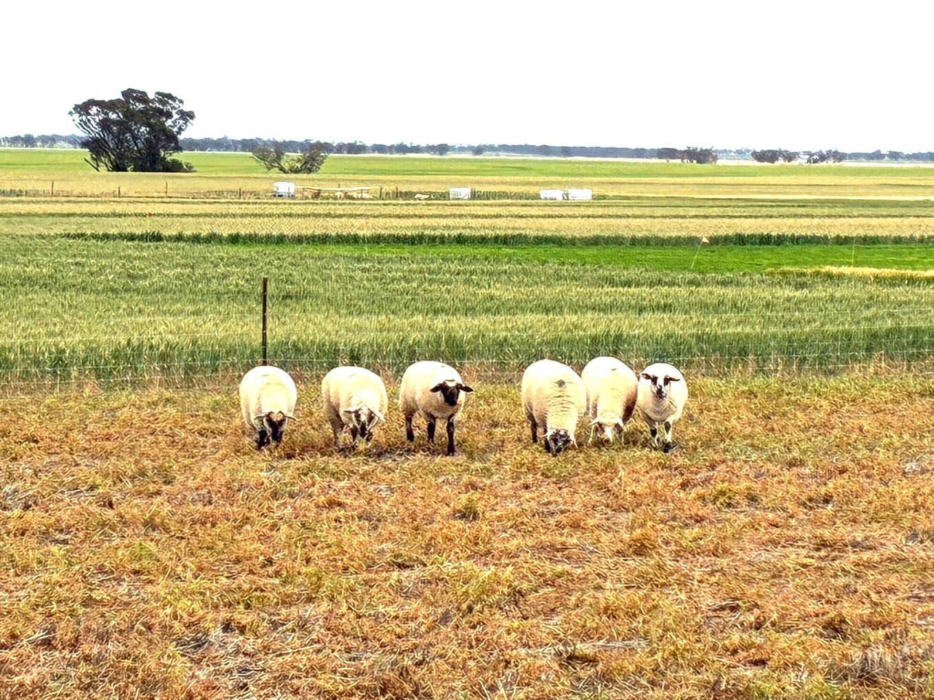 Shining a Spotlight On Stored Water