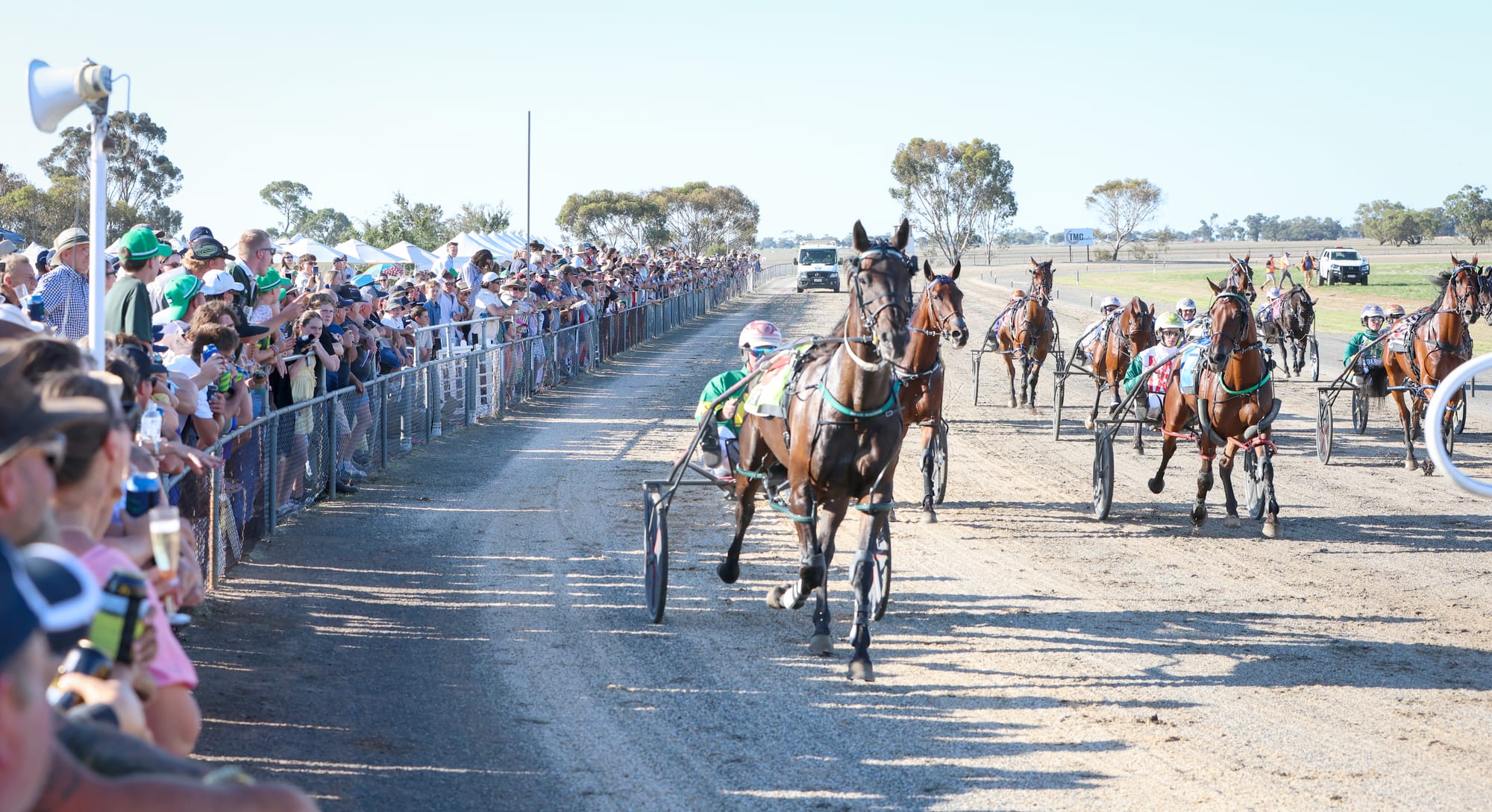 Electric Day for Birchip’s Running of the Bulls