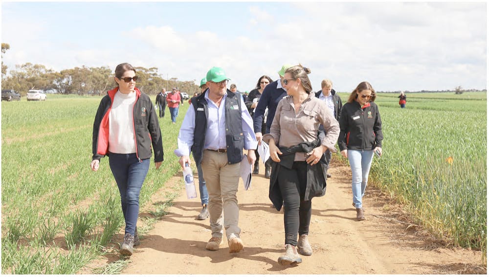 Wimmera Growers to Have a Say post image