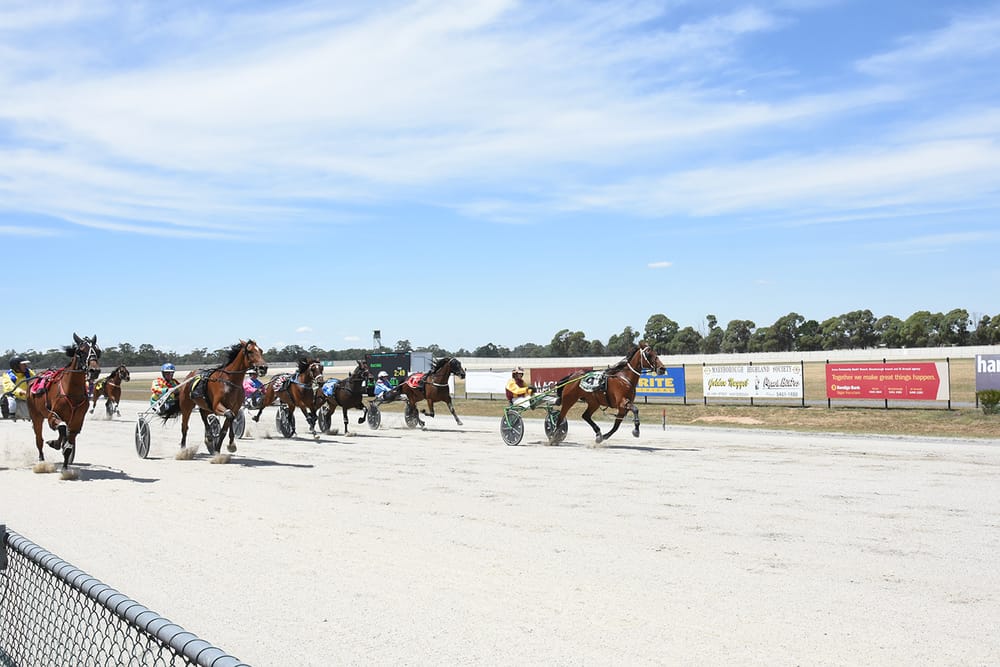 Group 2 Success for Catalpa Rescue post image