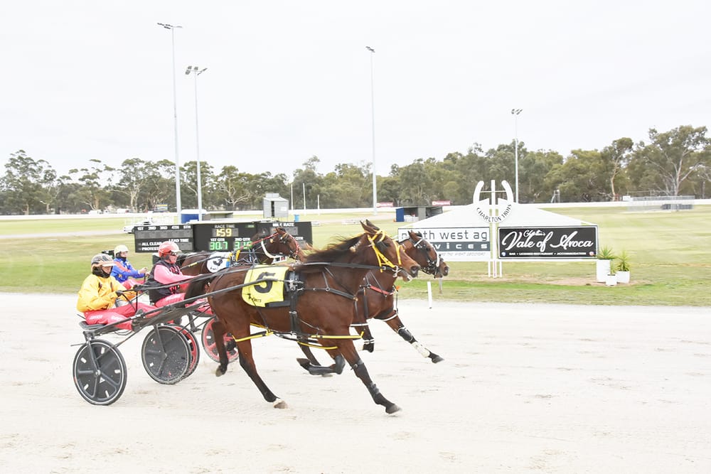 Favourites Day at Charlton Trots post image