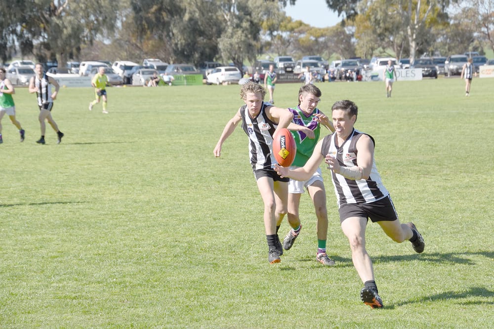 Bulls’ Reserves Silence Magpies post image