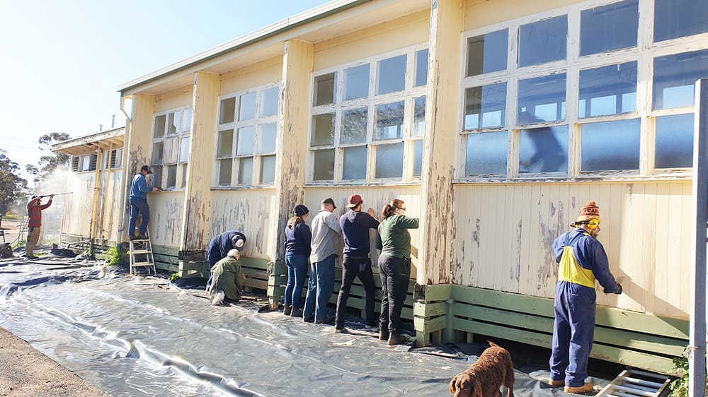 Blessed Bee post image