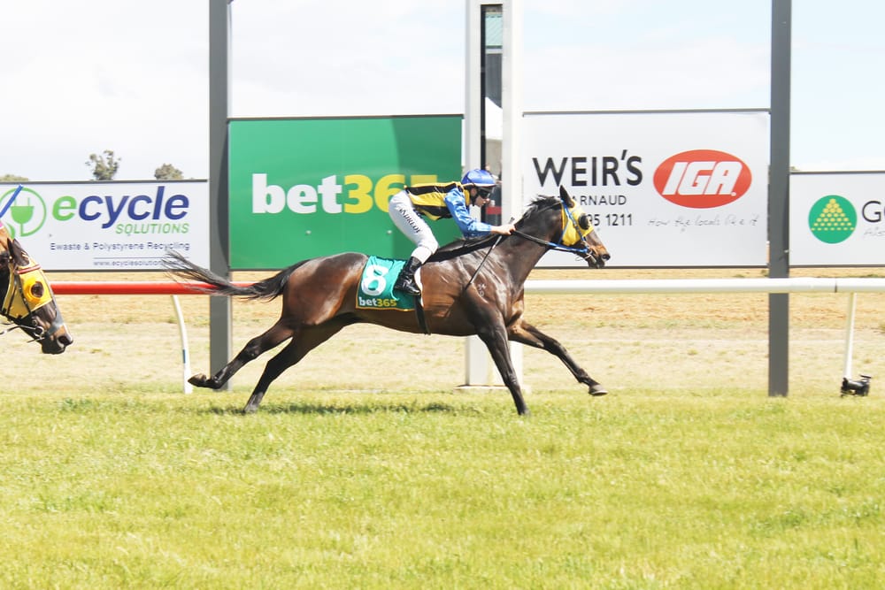 Three Successive Cup Meeting Wins post image