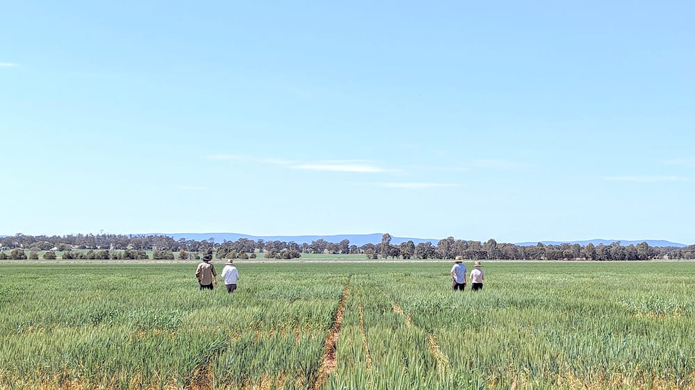 $1.9 Million Investment Into Climate-Resilient Crops post image