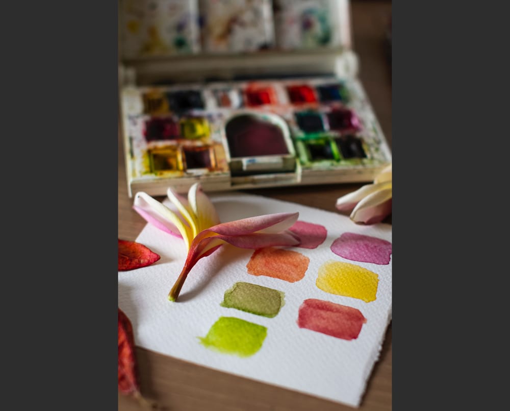 Forthcoming Exhibition – Diversity in Colour post image