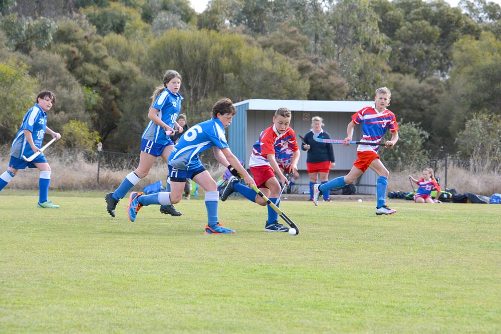 North-Central Hockey post image