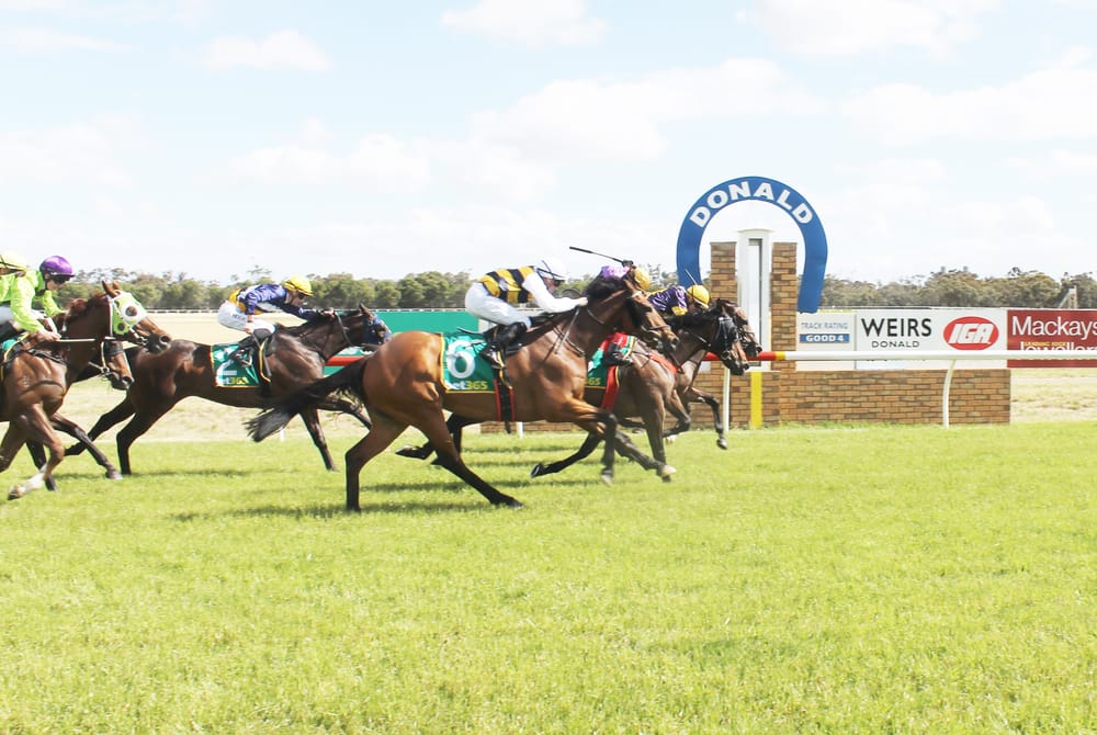 Portland Jimmy Wins the Donald Cup post image