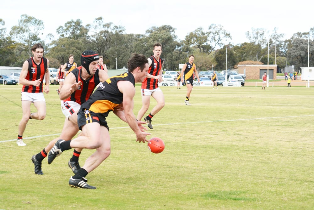 Tigers Tame Relentless Redbacks post image