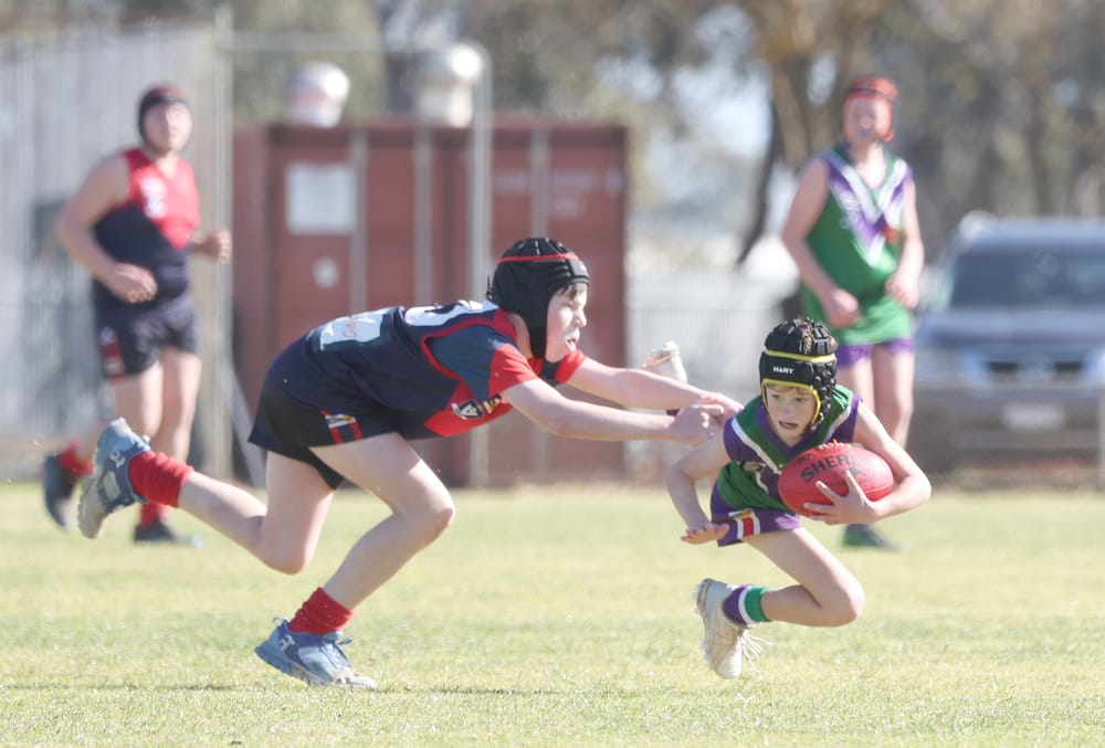 Bulls Under-14s Dominate post image