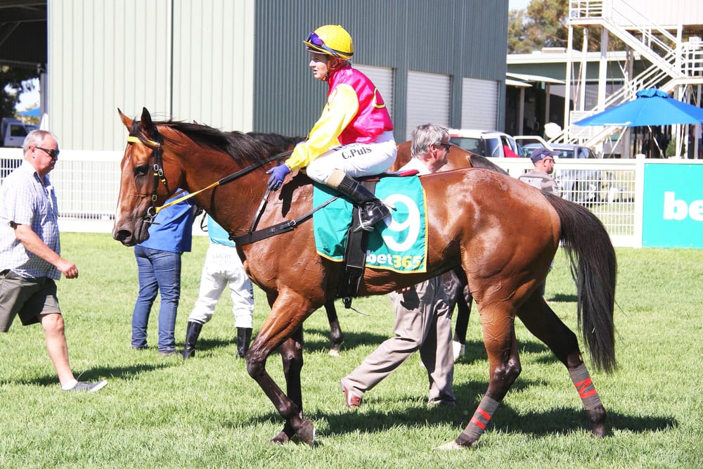 Beyond the Finish Post post image