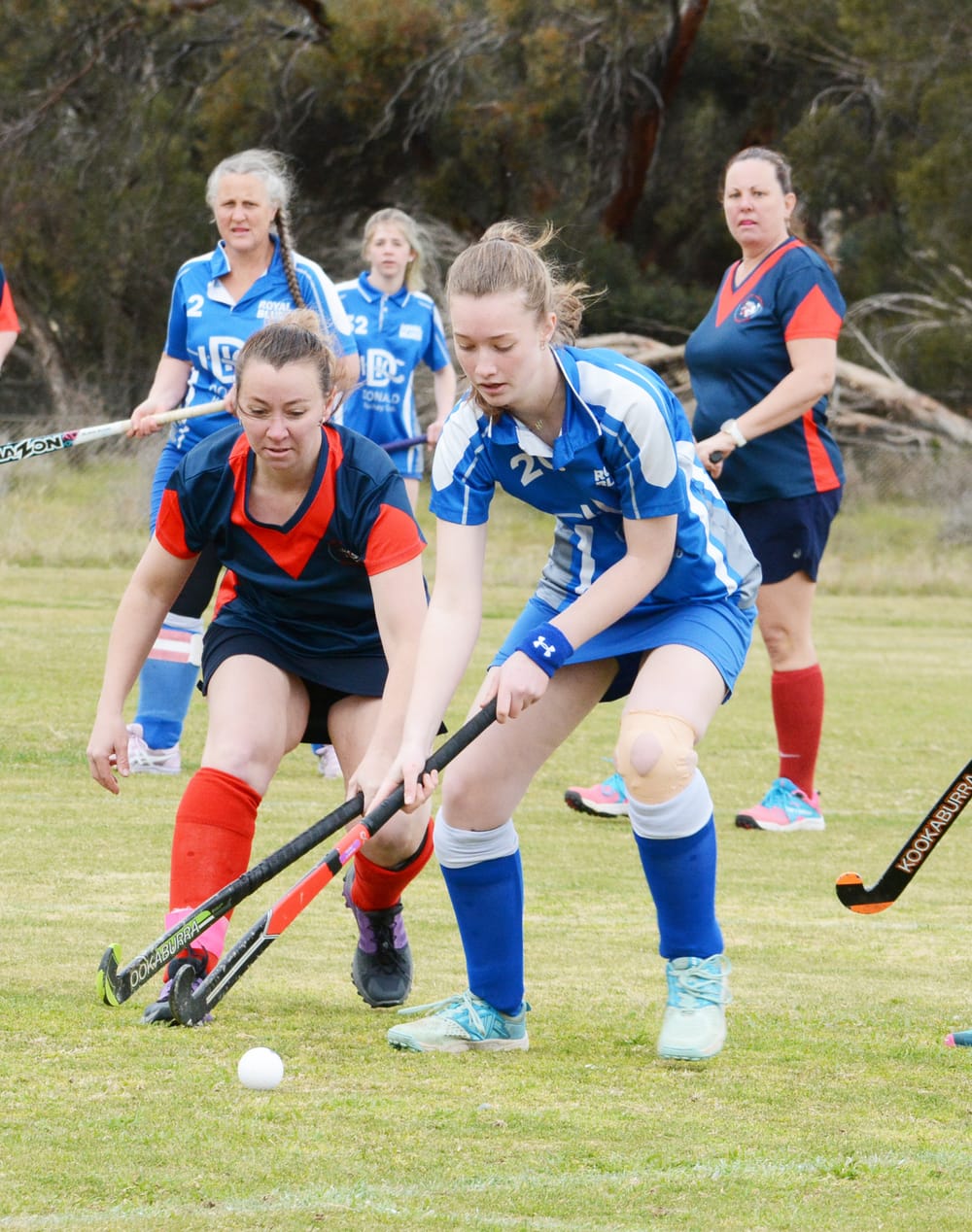 North-Central Hockey post image