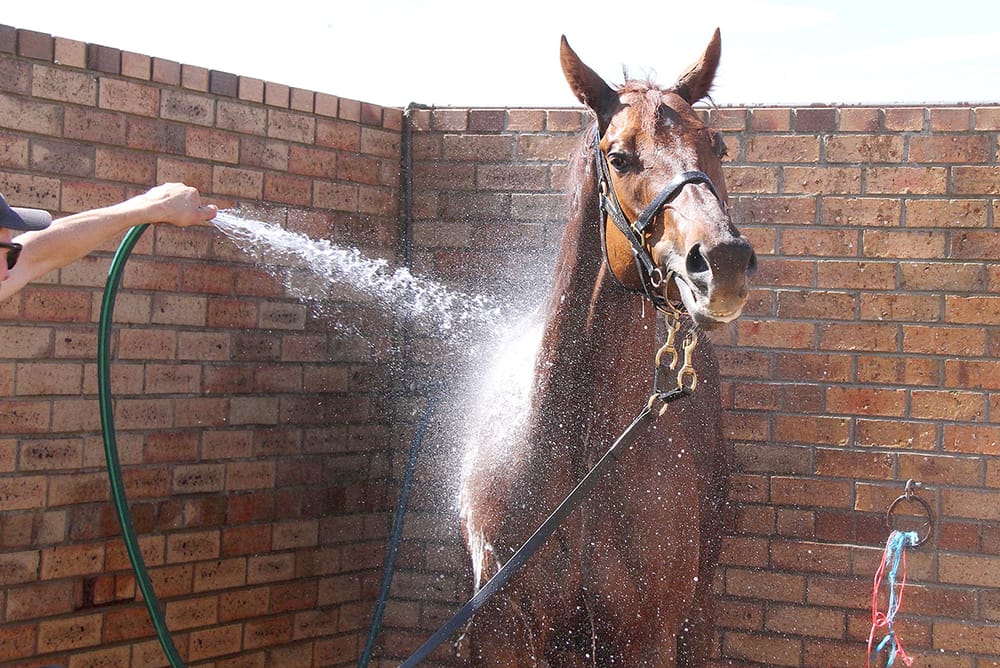 “It’s Me, Mister!” post image