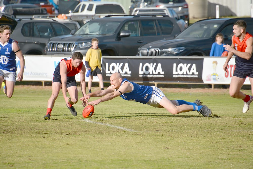 Donald Stakes Its Claim post image