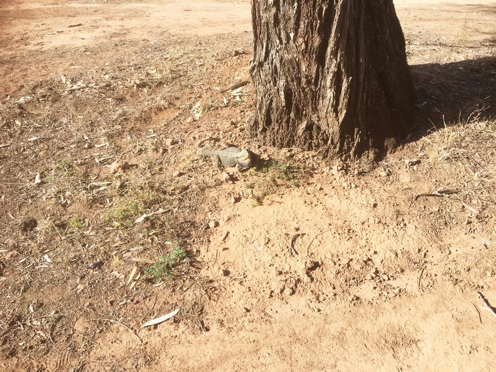 Down the Middle at Donald? post image