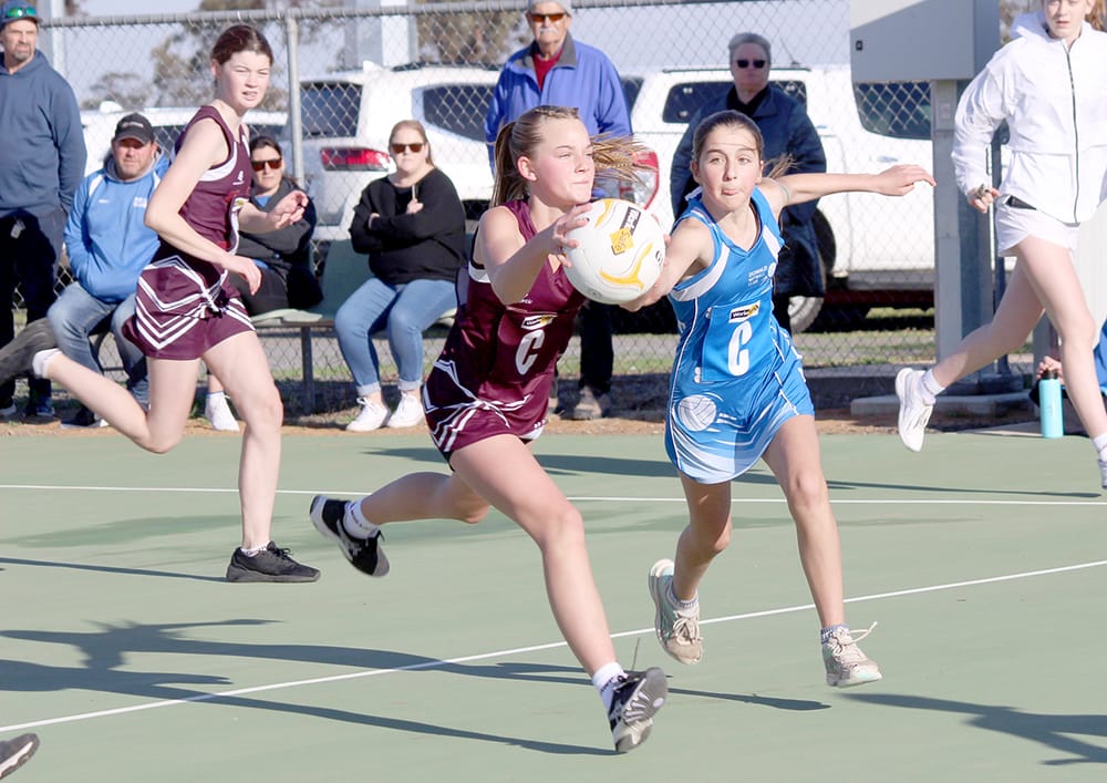 North-Central Netball: Donald v. Nullawil post image