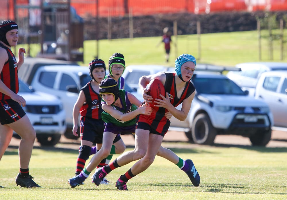 Bulls Juniors at Wedderburn post image